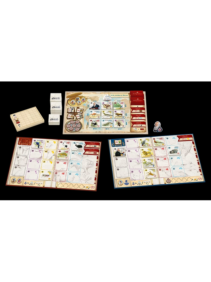 Tras los pasos de darwin 3