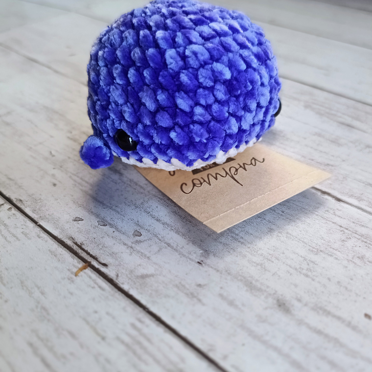 BALLENA SENSORIAL  1