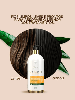 Amazon Forest - Antirresíduos