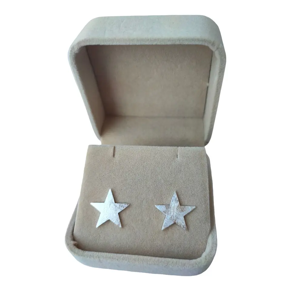 Aros maxi estrella satinada de plata 925 2
