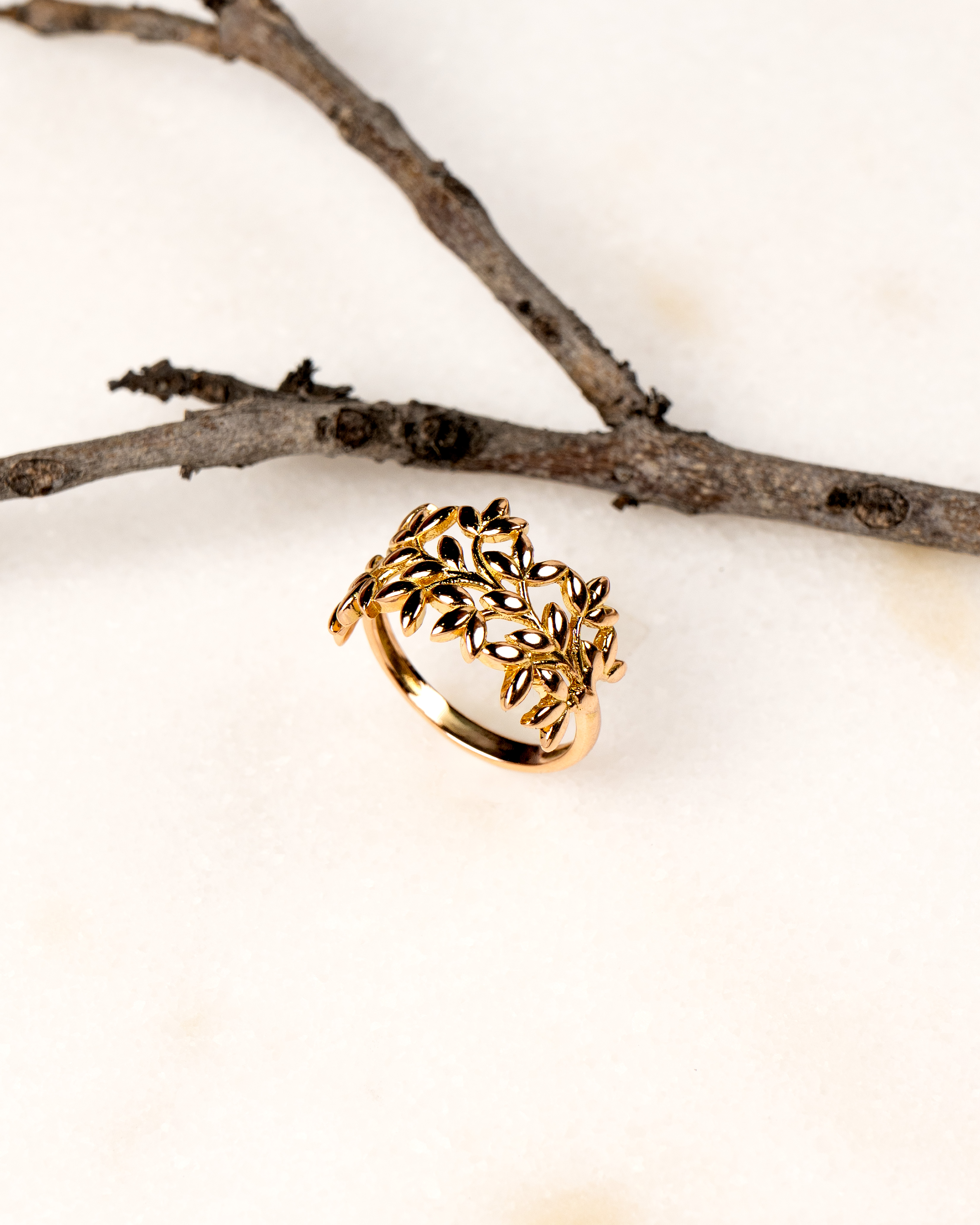 Anillo “Rama de Olivo” 2