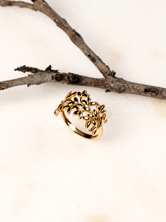 Anillo “Rama de Olivo” 2