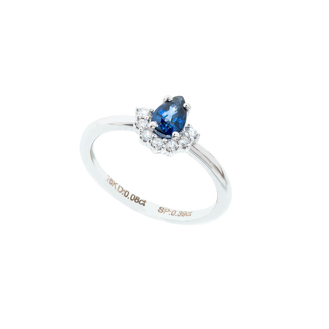 Anillo Boreal 1