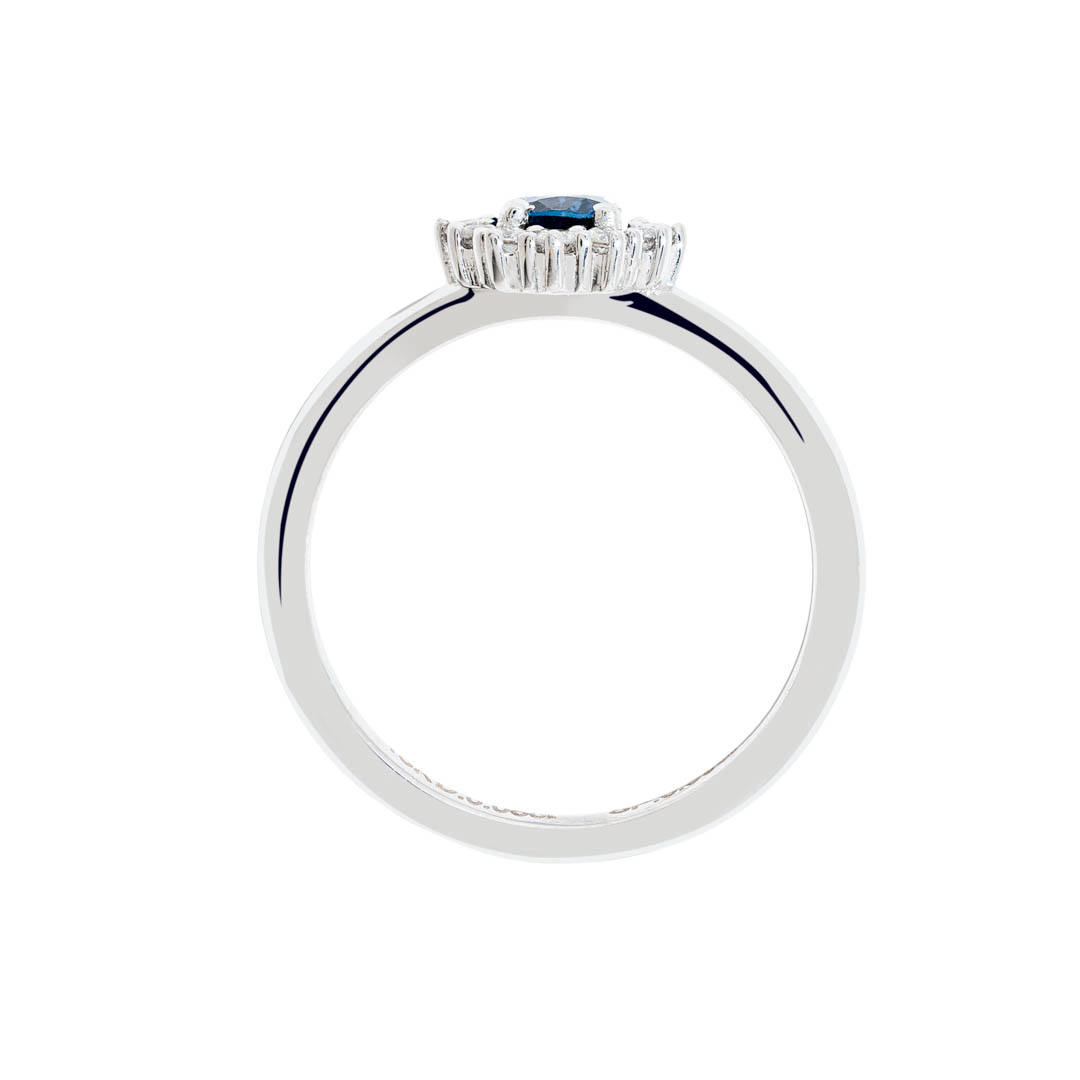 Anillo Boreal 3