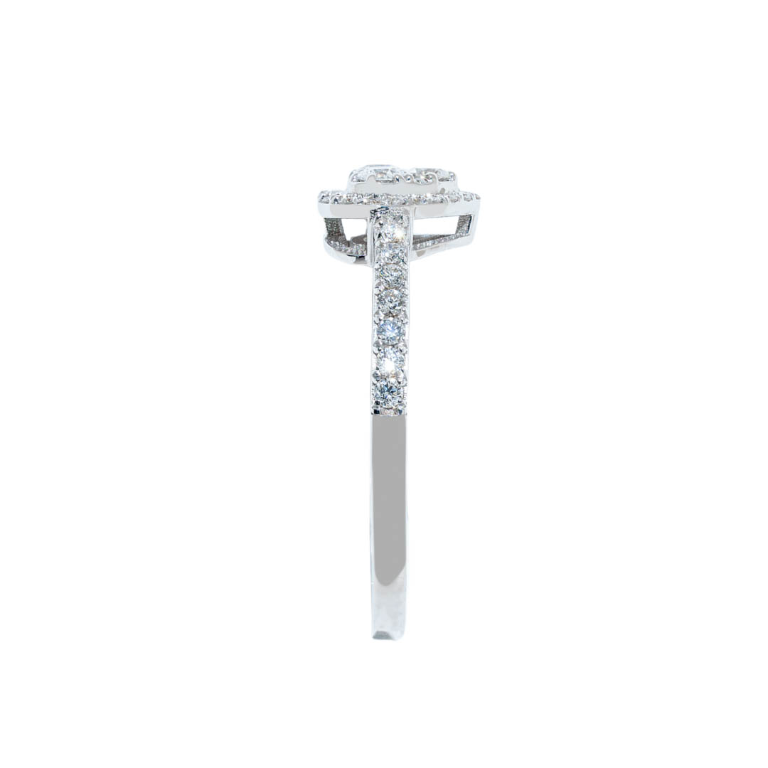 Anillo Lien  2