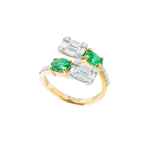 Anillo Enlace