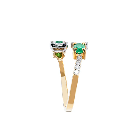 Anillo Enlace
