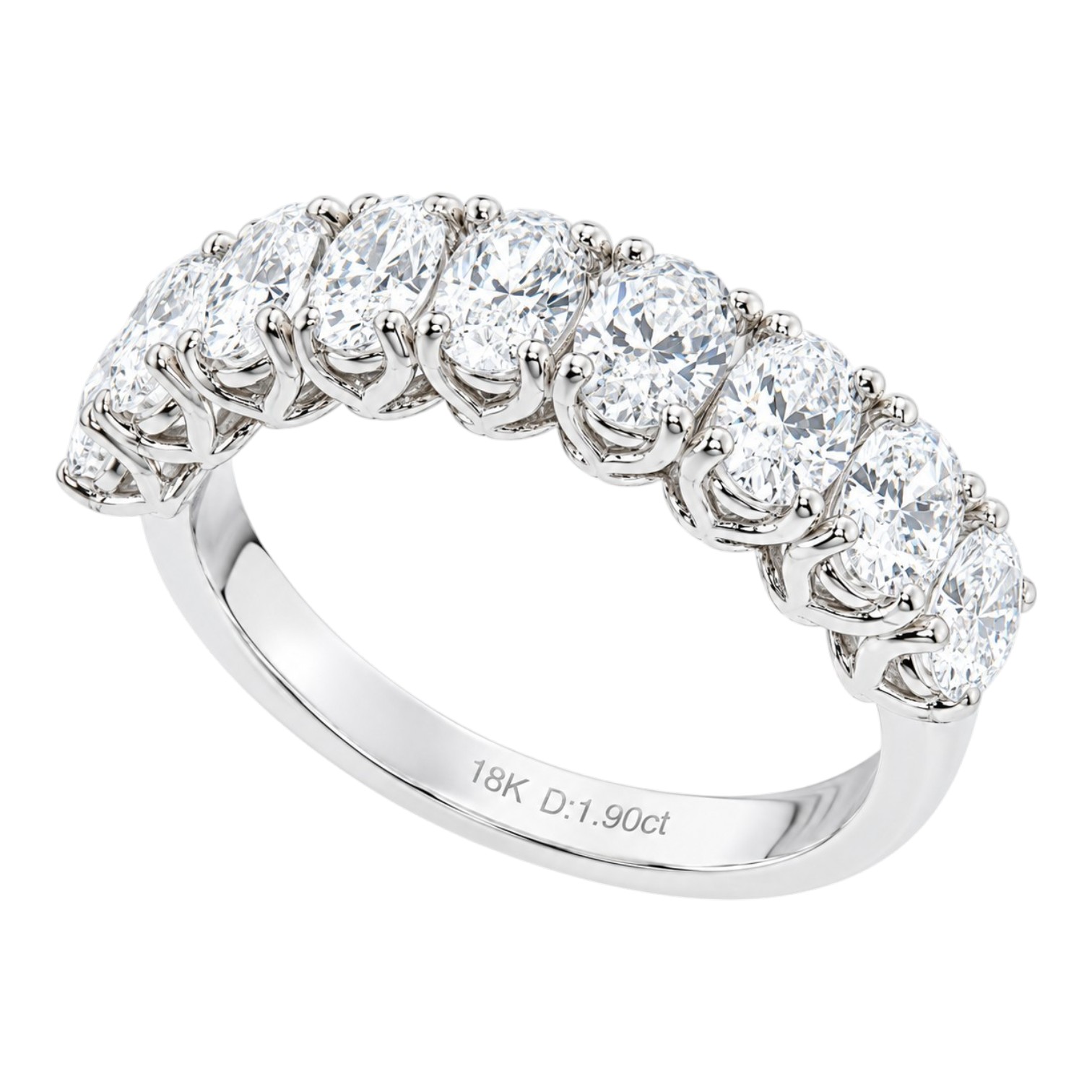 Anillo Ovalis 1