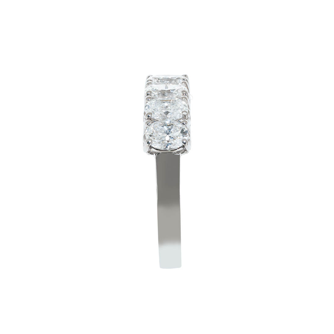 Anillo Ovalis 2