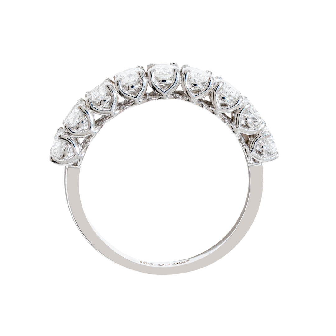 Anillo Ovalis 3