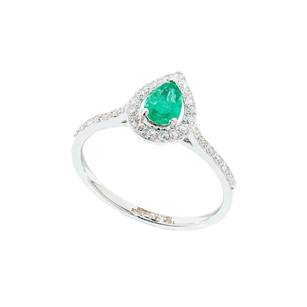 Anillo Eden 1