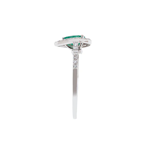 Anillo Eden