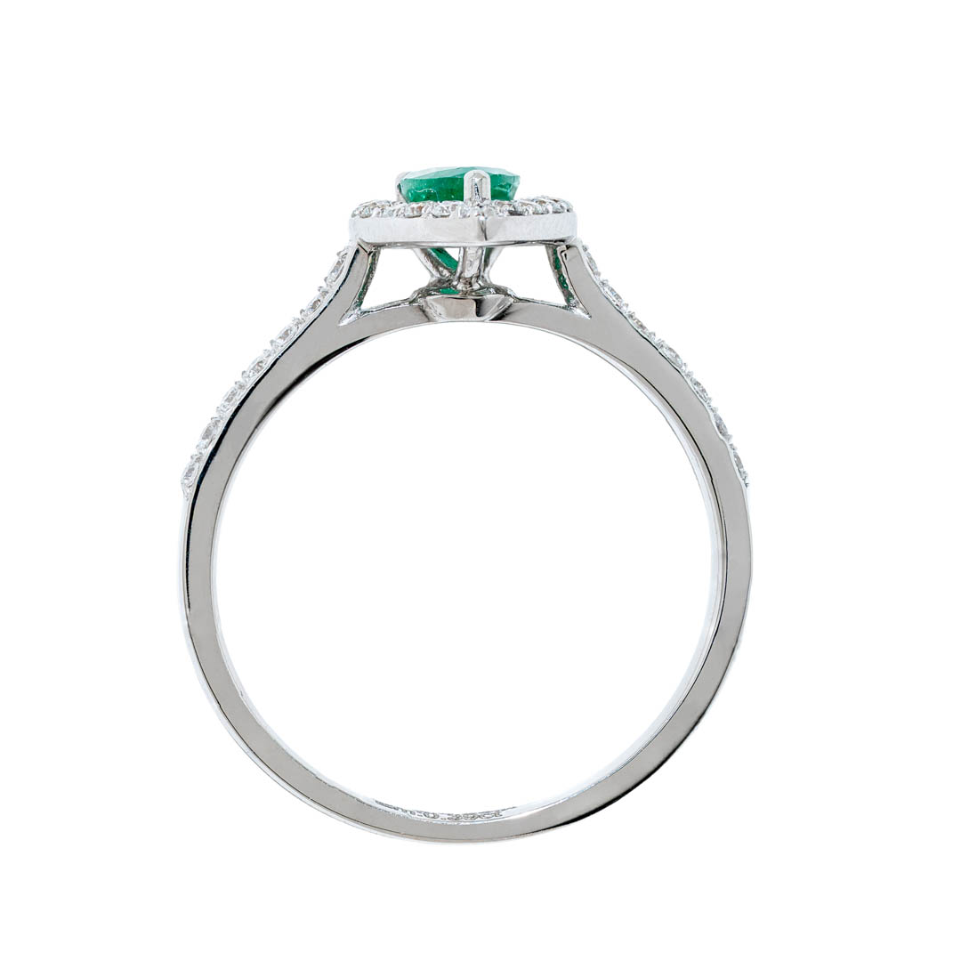 Anillo Eden 3