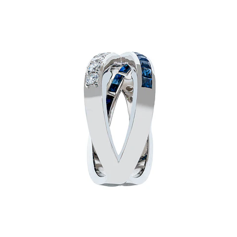 Anillo Trama
