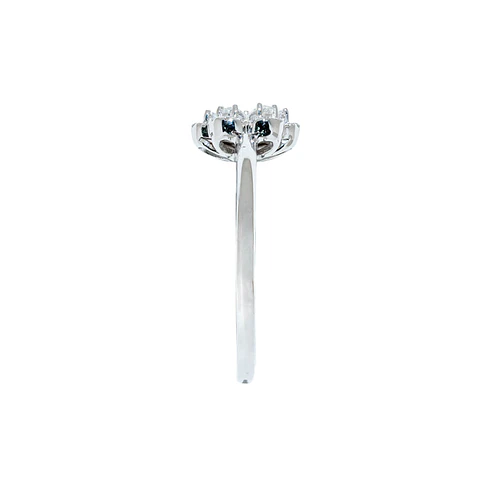 Anillo Aster