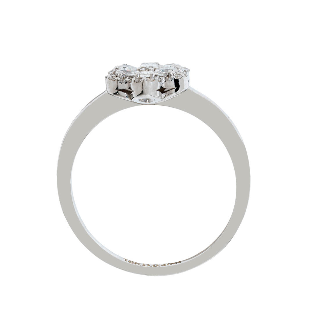 Anillo Aster 3