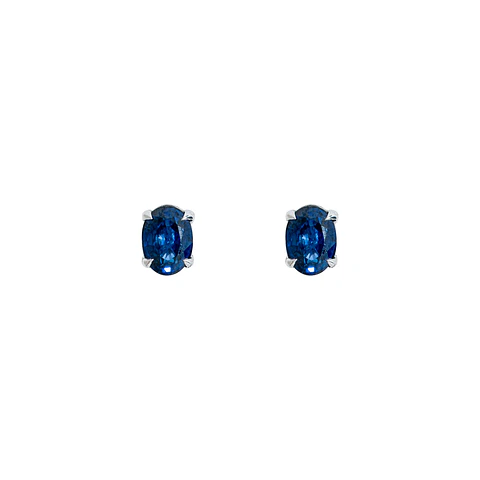 Aros Orbe