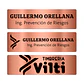 Pack 5 Placa Identificación Casco Full Personalizable Vilti® - Miniatura 23