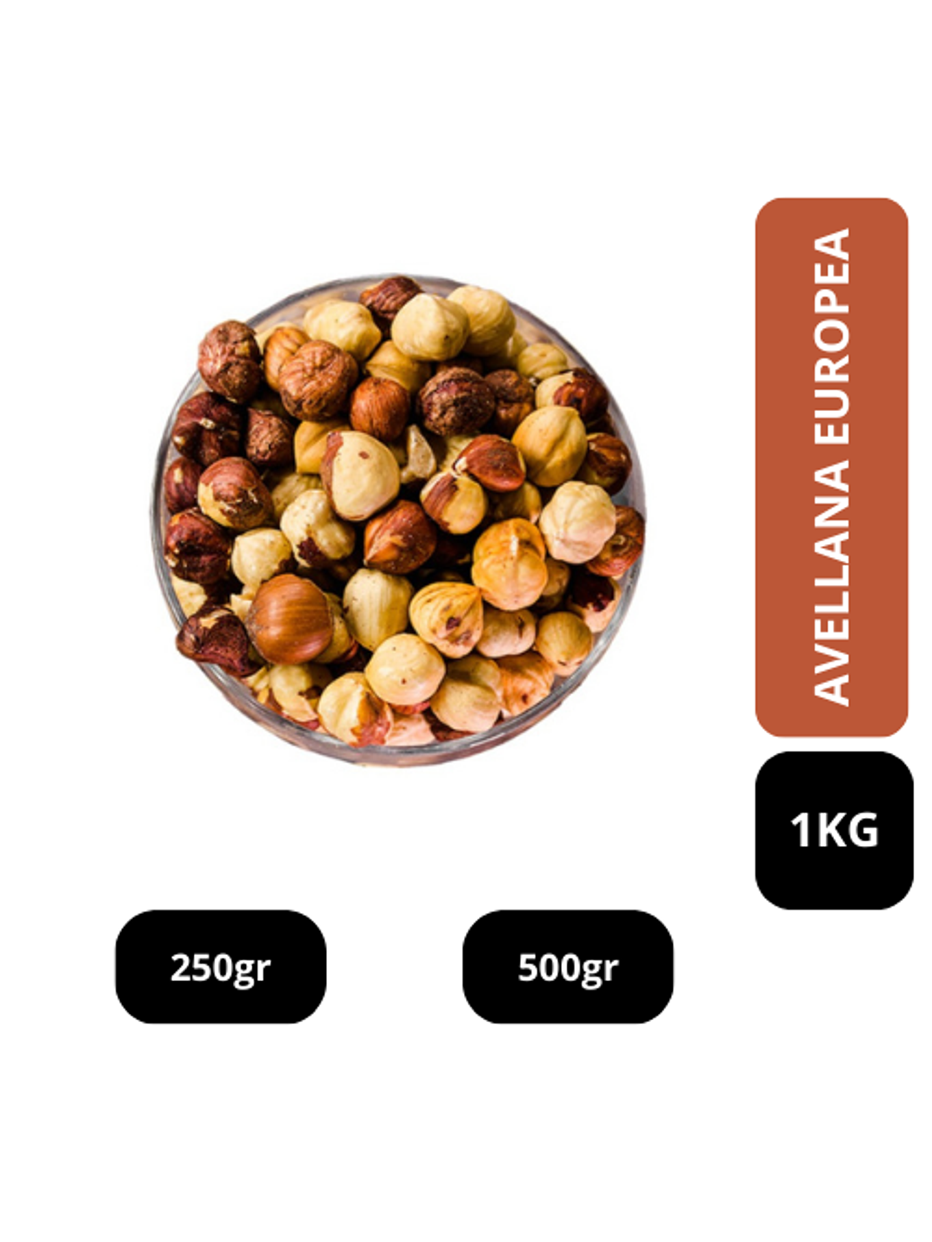 AVELLANAS EUROPEAS 1