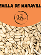 Semilla de Maravilla - Miniatura 1