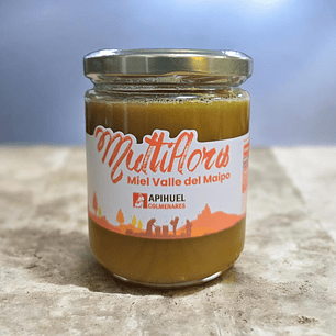 MIEL VALLE DEL MAIPO 515gr