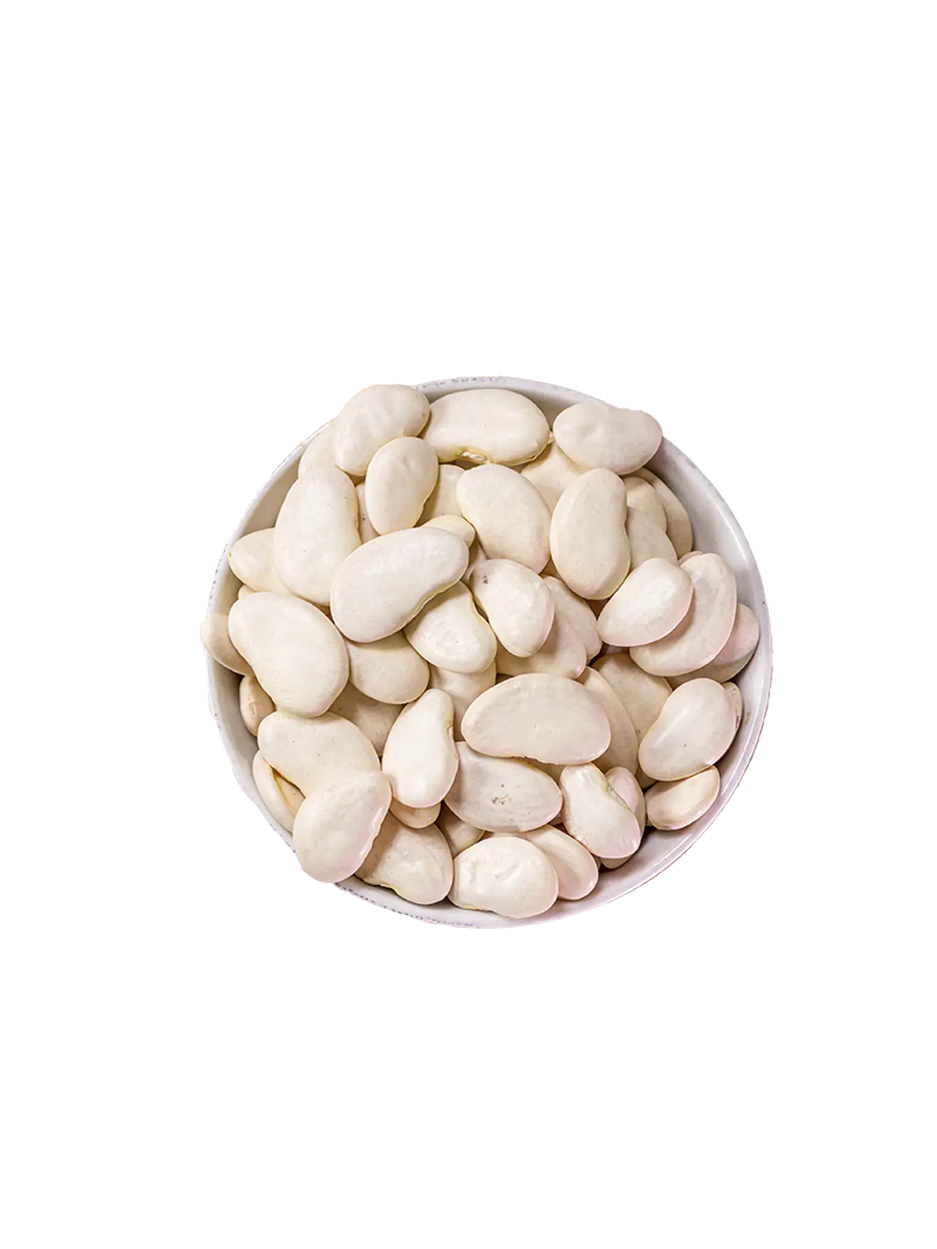 Poroto Pallar Grande 1