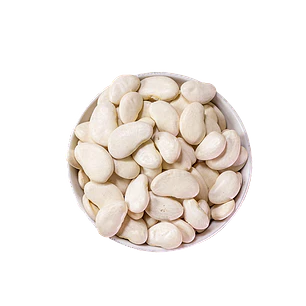 Poroto Pallar Grande