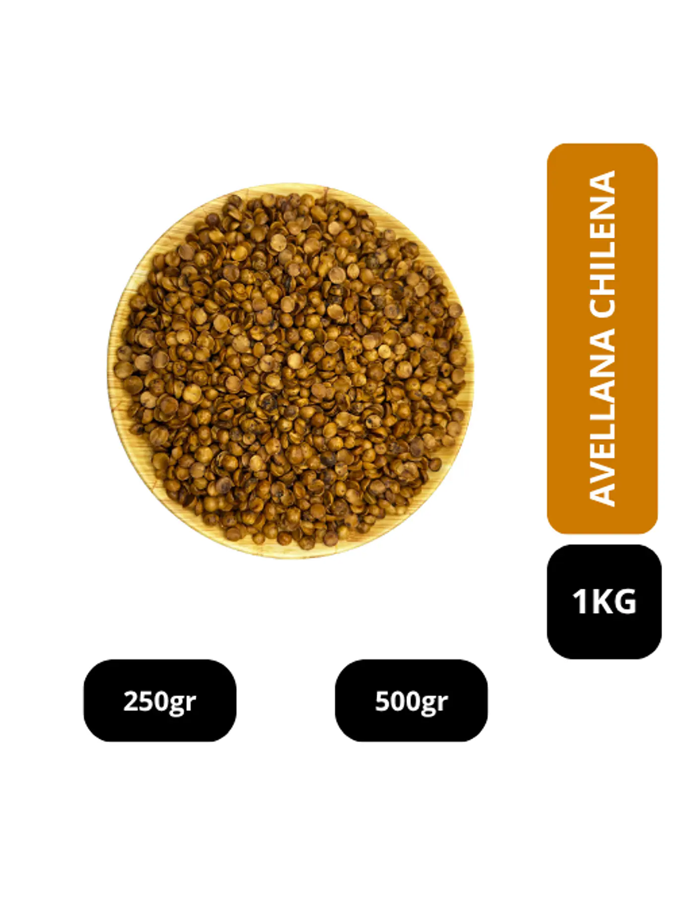 AVELLANA CHILENA 1