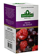 Té Saint Gottard Frutos Del Bosque - Miniatura 1