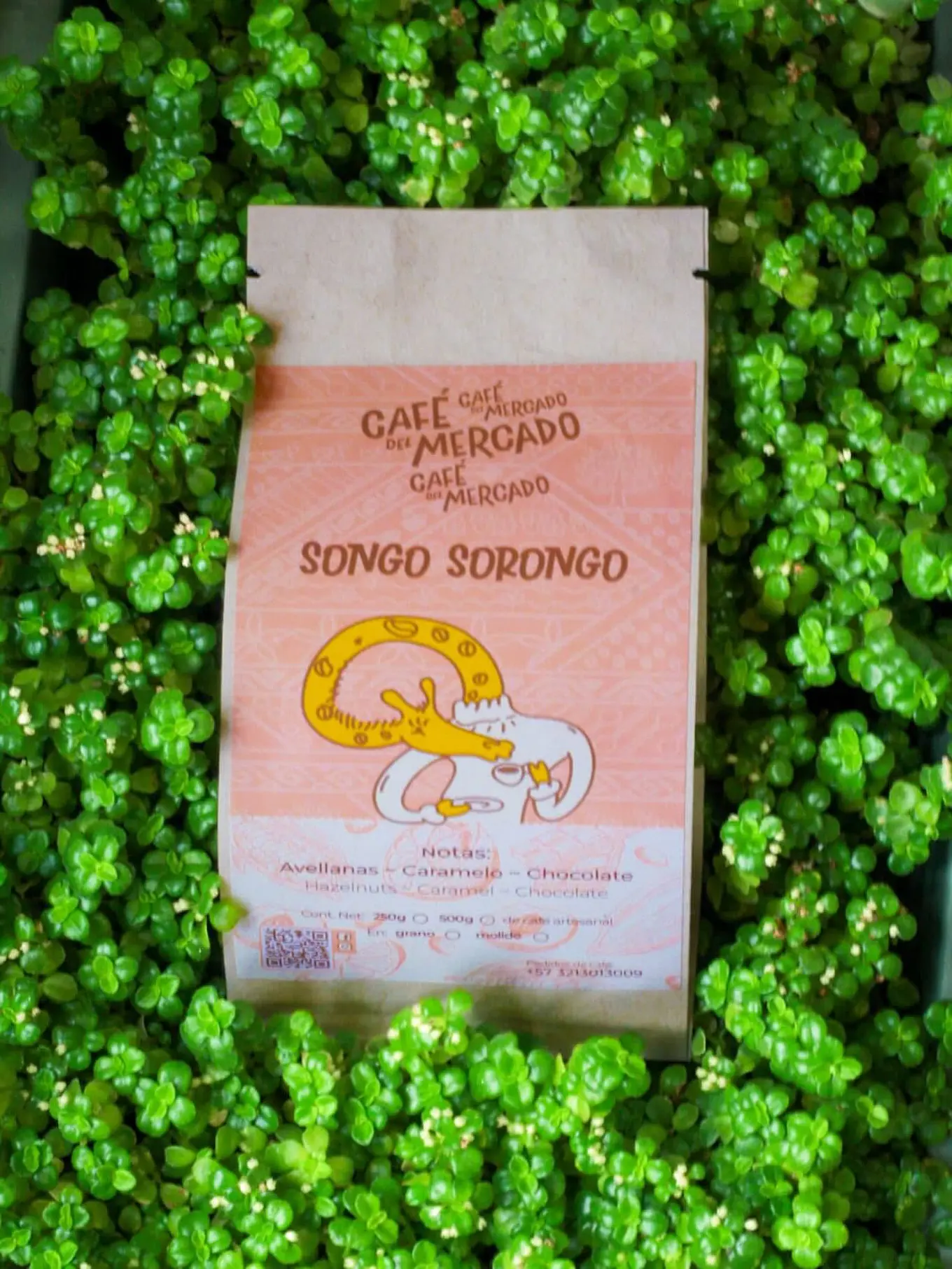 Café del Mercado Songo Sorongo 1
