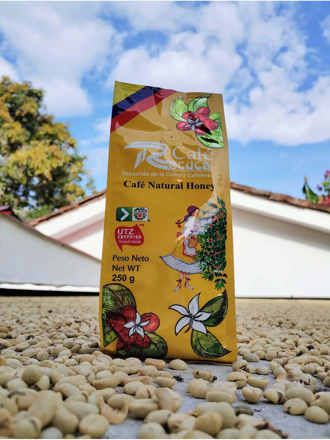 Café Natural Honey Recuca en Grano 1