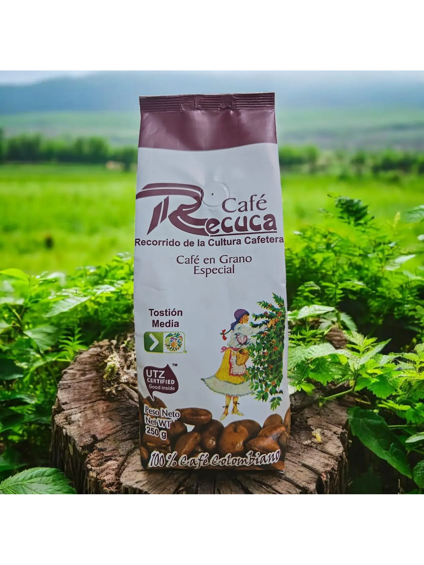 Café Especial Premium Recuca en Grano 1