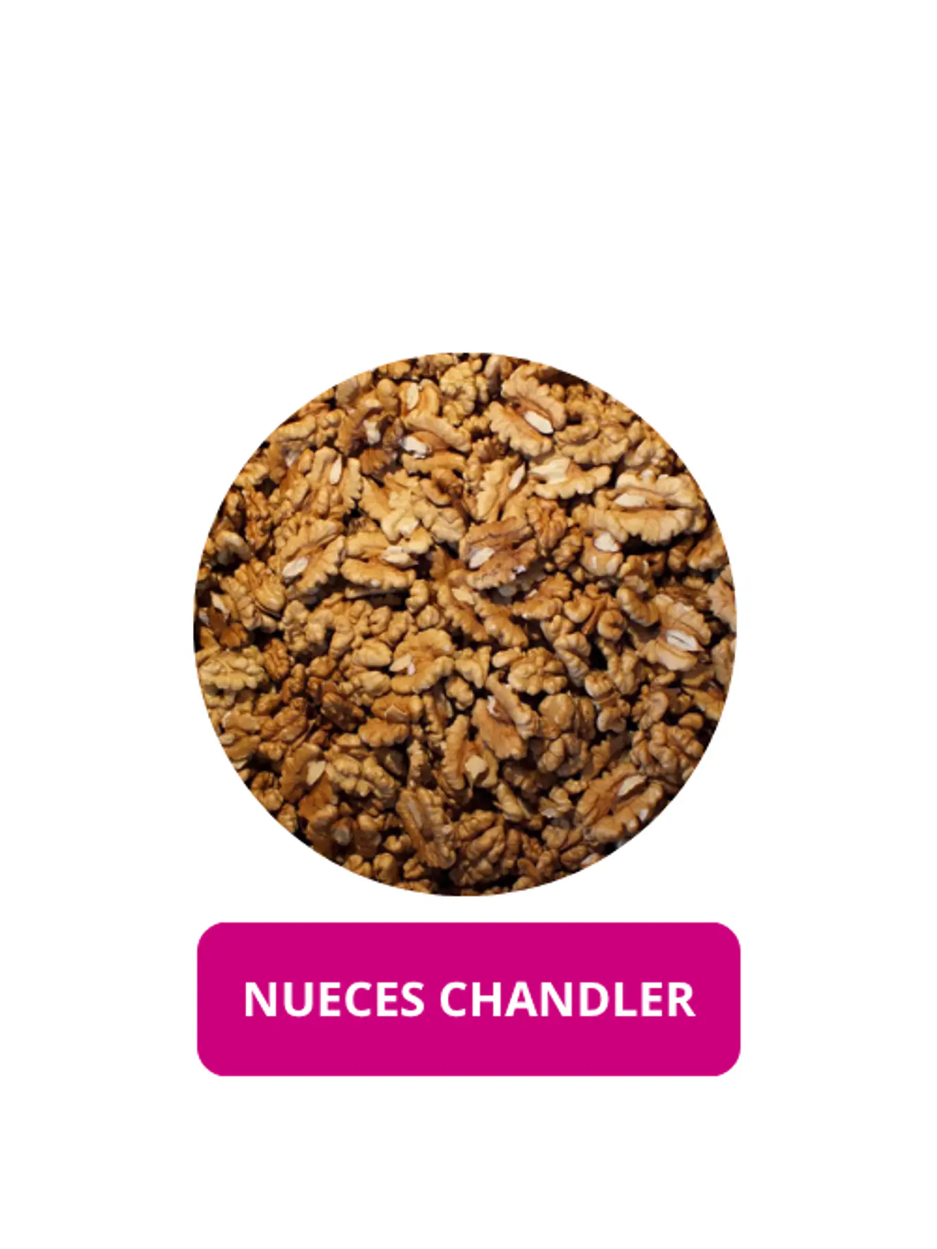 NUECES CHANDLER 2026 1