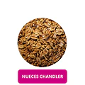 NUECES CHANDLER 2026