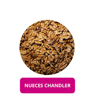 NUECES CHANDLER 2026