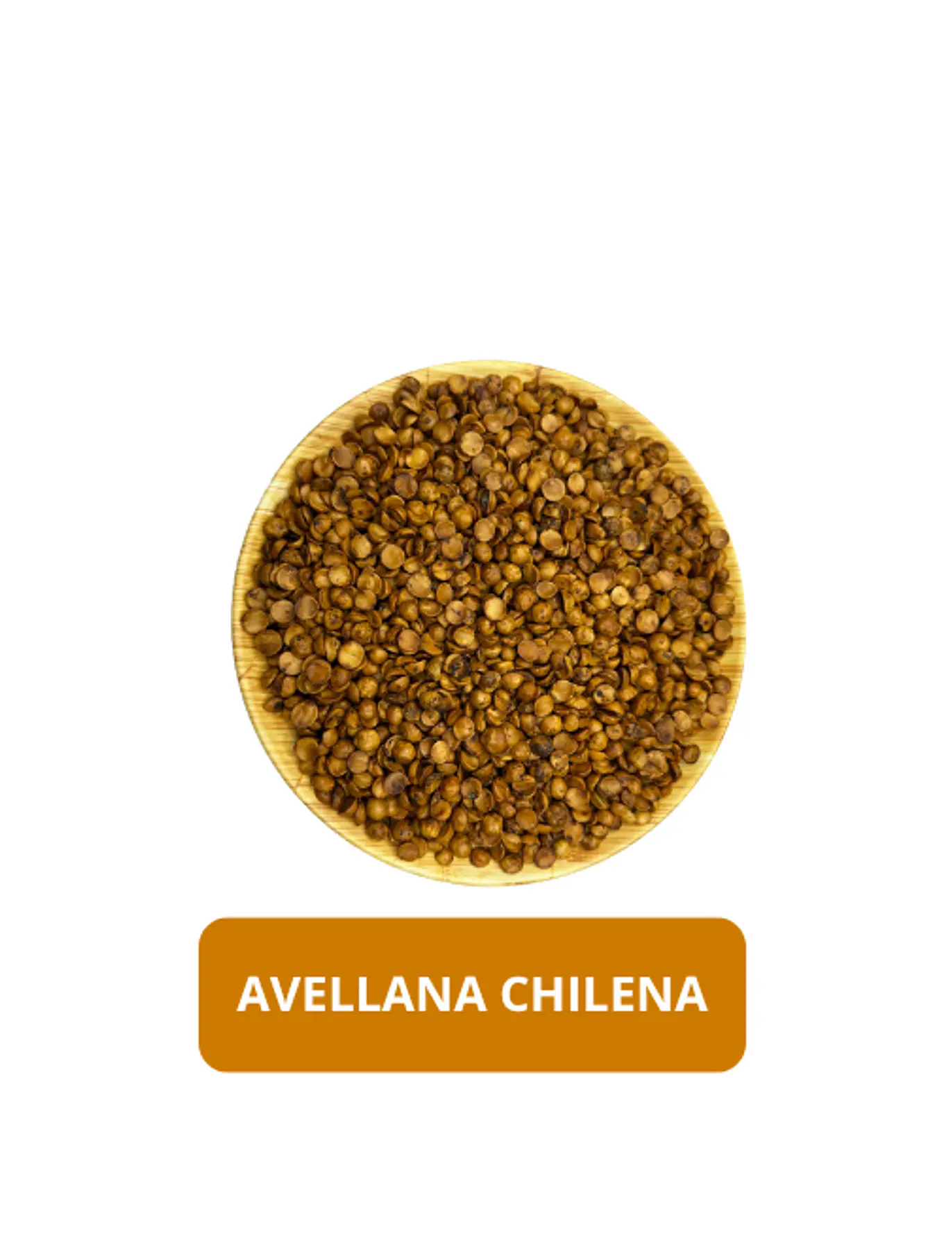 AVELLANA CHILENA 1