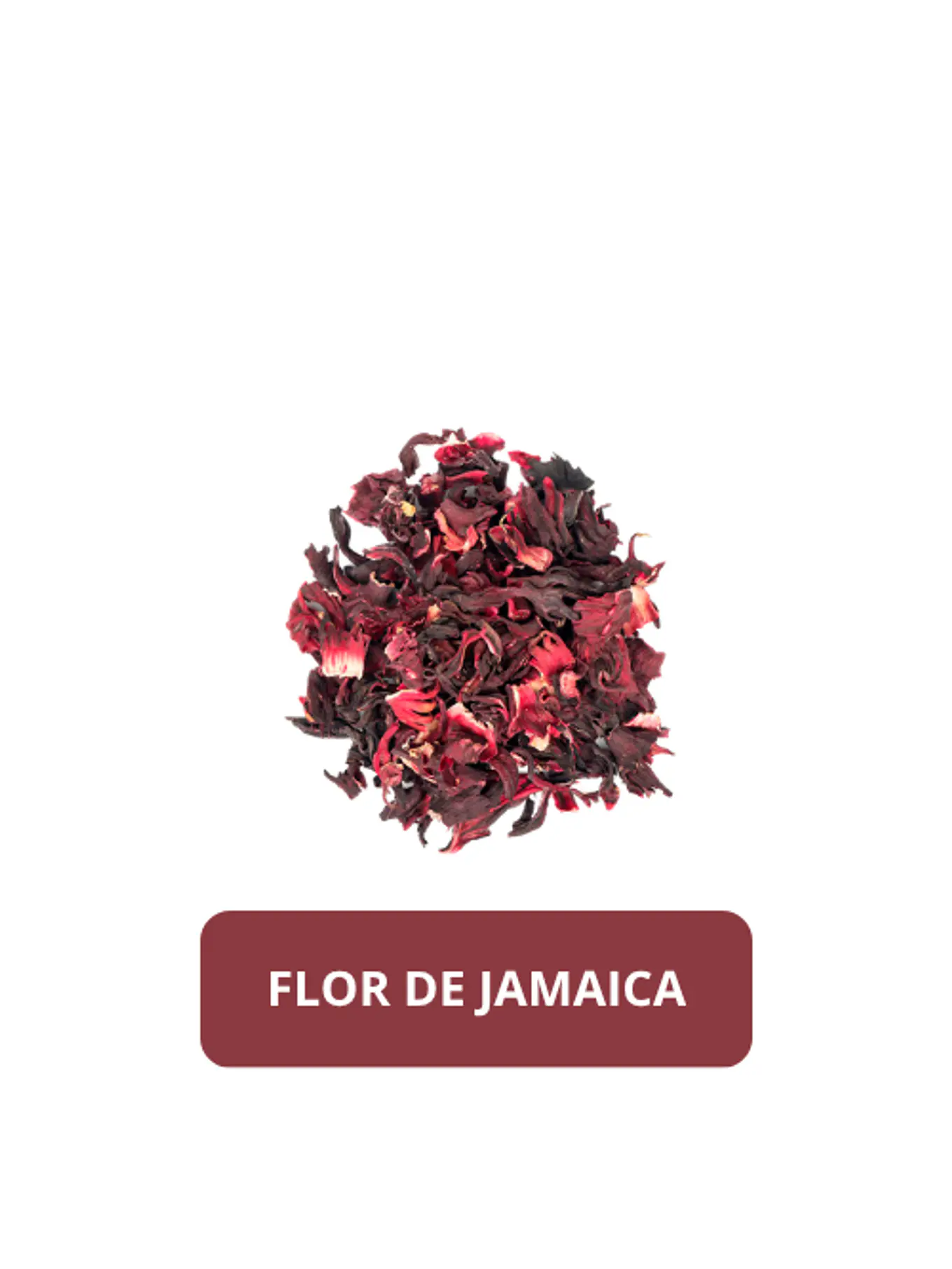 Flor de Jamaica 1