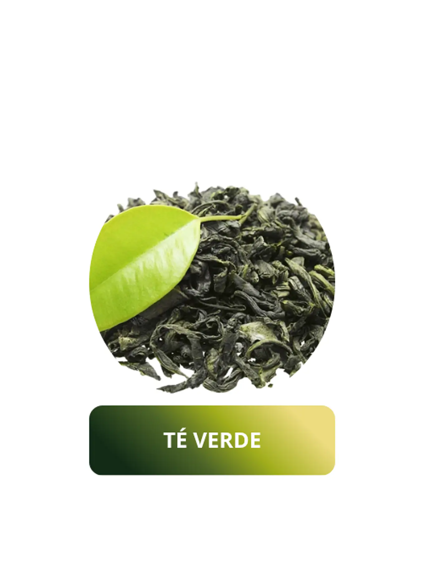 TE VERDE 1