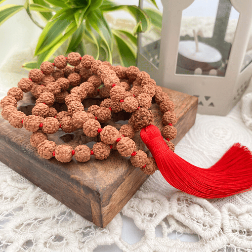 Japa Mala Rudraksha de 108 Cuentas Genuina