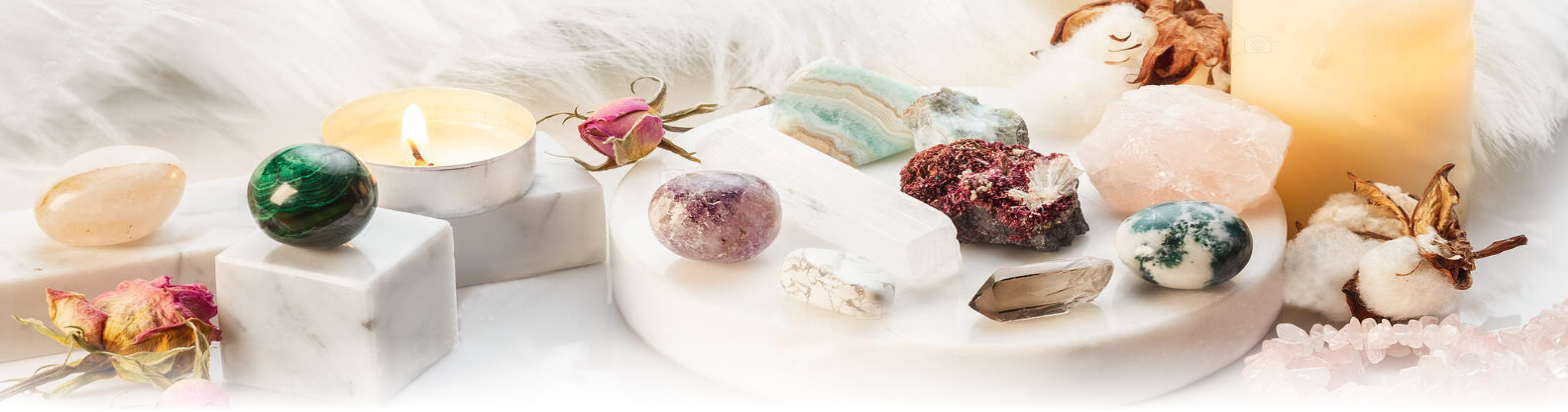 Especiales del Momento