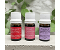 Kit Completo de 12 Aceites Esenciales