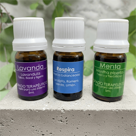 Kit Completo de 12 Aceites Esenciales