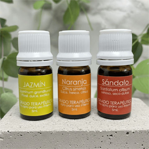 Kit Completo de 12 Aceites Esenciales