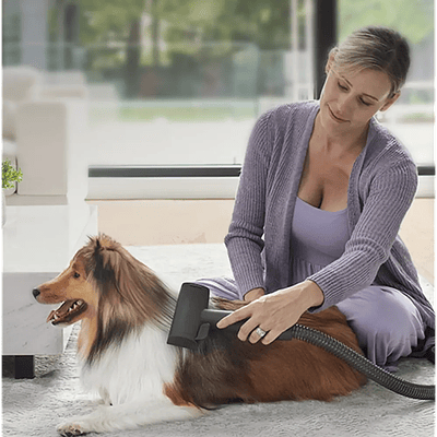 Cepillo aspirado de mascotas