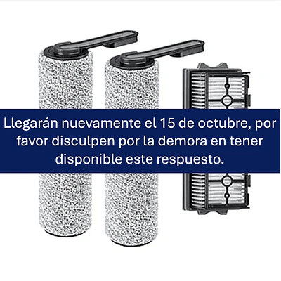 Kit 2 Filtro HEPA y 2 Brush Roller (Rodillo) para ifloor 5 y Floor ONE S5