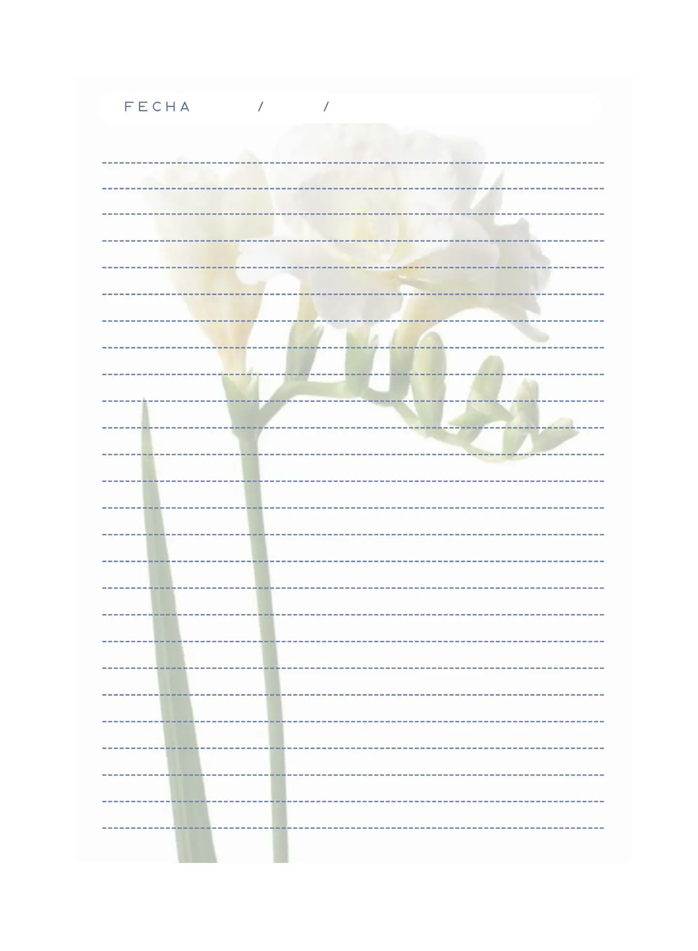 Block de notas - Fresias 2