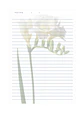 Block de notas - Fresias - Miniatura 2