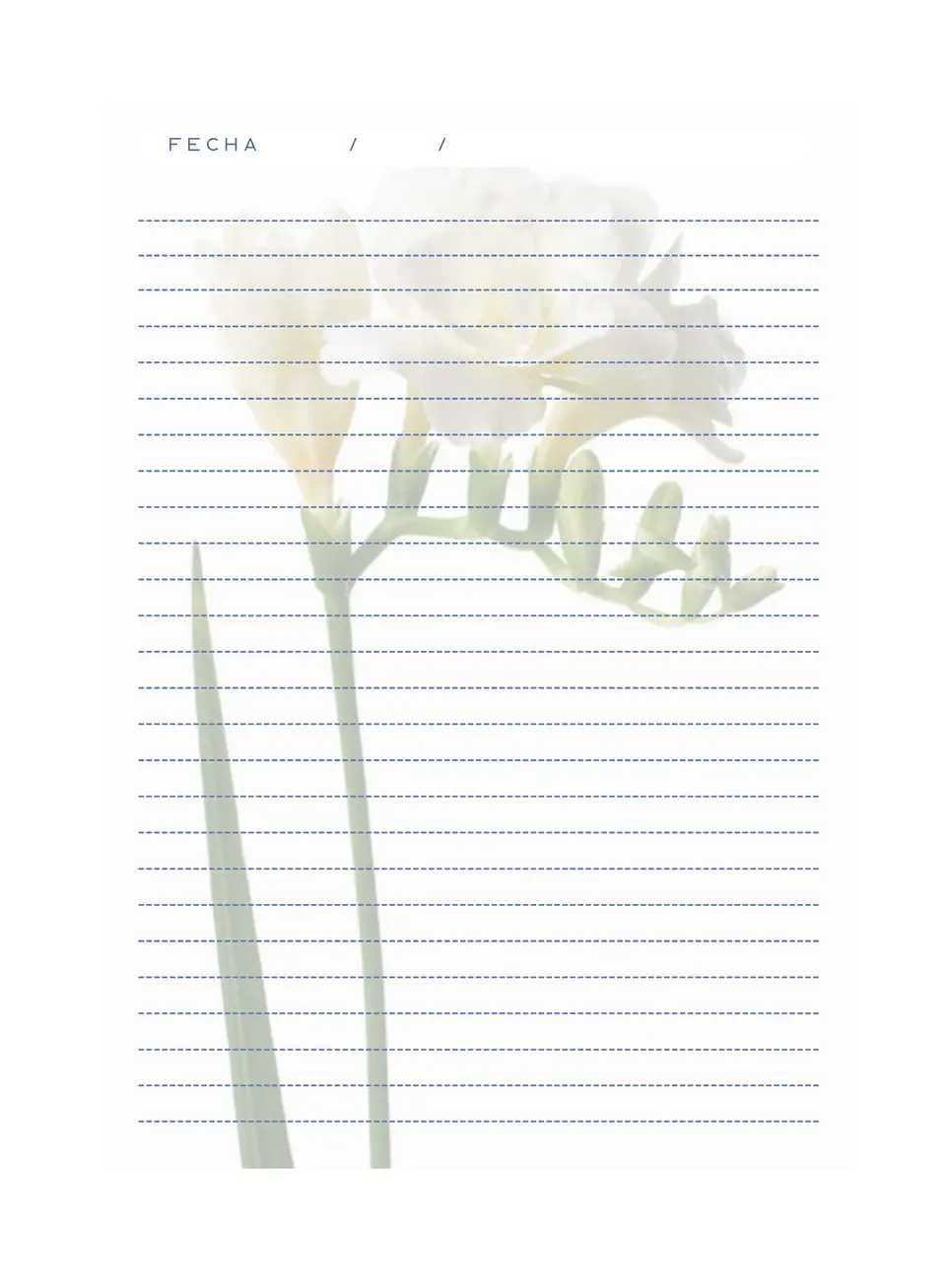 Block de notas - Fresias 2
