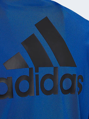 CONJUNTO DEPORTIVO ADIDAS NIÑO