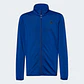 CONJUNTO DEPORTIVO ADIDAS NIÑO - Miniatura 8